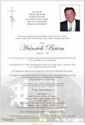 Heinrich Briem